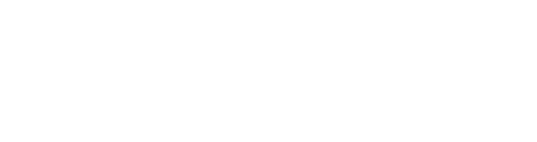 Self — Wise Accelerate client