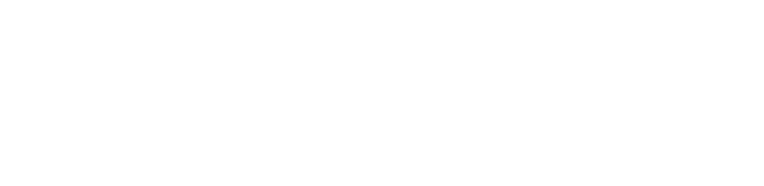 Zapiio — Wise Accelerate client